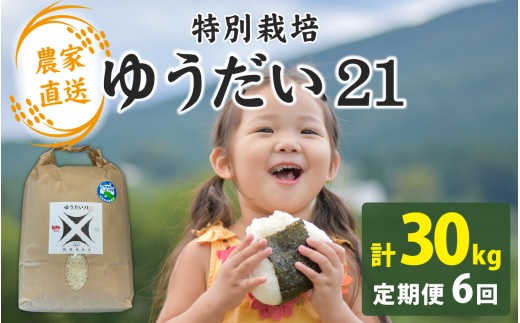 【先行予約】【6か月連続お届け】【令和8年産 新米】【農家直送】減農薬・化学肥料不使用 ゆうだい21 5kg×1袋×6ヶ月（計30kg）【2026年10月より順次発送】｜お米 白米 ごはん ご飯 米 こめ 新米 ギフト プレゼント 内祝い 贈り物 国産 高品質 高級 南越前町 送料無料 福井 北陸
