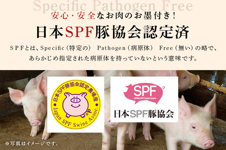 【定期便】 弓豚 3ヶ月 定期便 豚肉 和豚 銘柄豚 肉 しゃぶしゃぶ用 切り落とし 国産 高品質 希少 産地直送 ヘルシー 家庭用 ギフト 冷凍 【先行予約 2026年3月以降発送予定】 (C01-