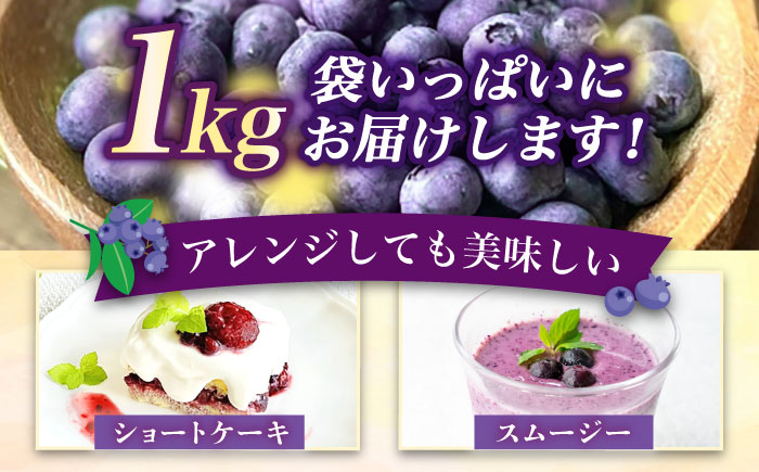 ブルーベリー 1kg 冷凍《築上町》【(有)工房よしかわ】国産 ブルーベリー [ABAK001]