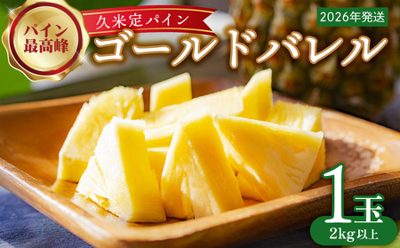  パイナップル【2026年発送】比屋定農園「久米定パイン」ゴールドバレル 1玉（2kg以上×1玉） パインフルーツ 果物