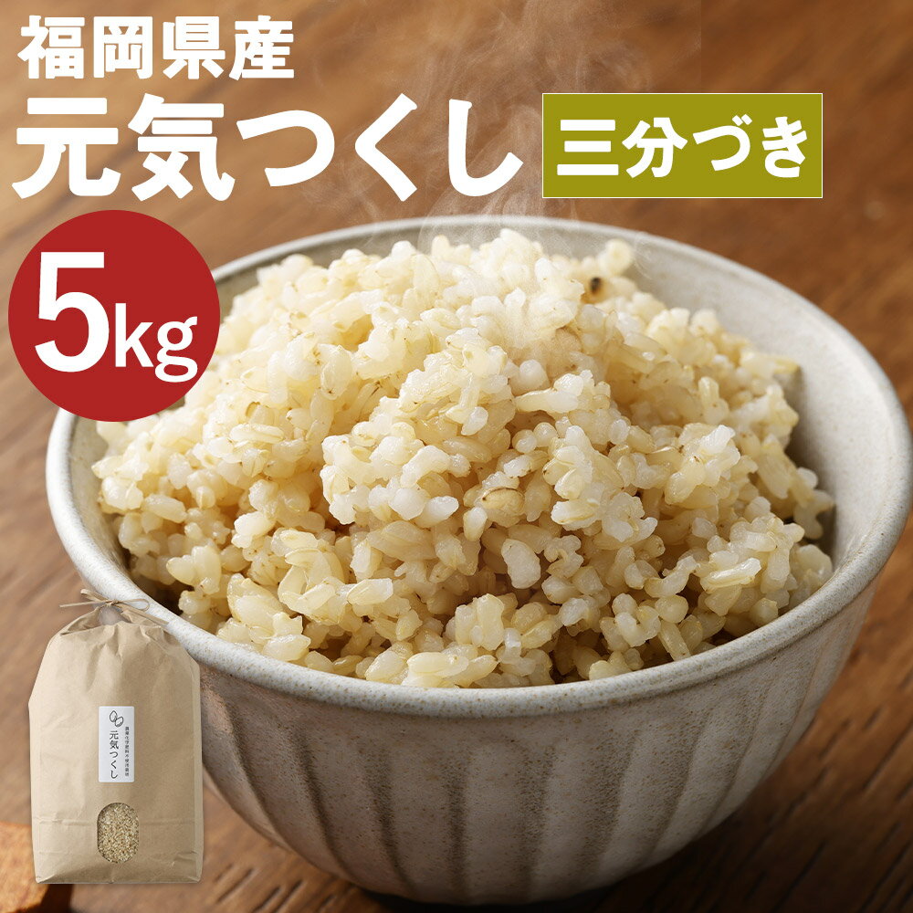 【ふるさと納税】福岡県産 元気つくし 三分づき 5kg お米 九州産 分づき米 3分精米 栽培期間中肥料・農薬・除草剤不使用 送料無料【2025年11月上旬より順次発送予定】