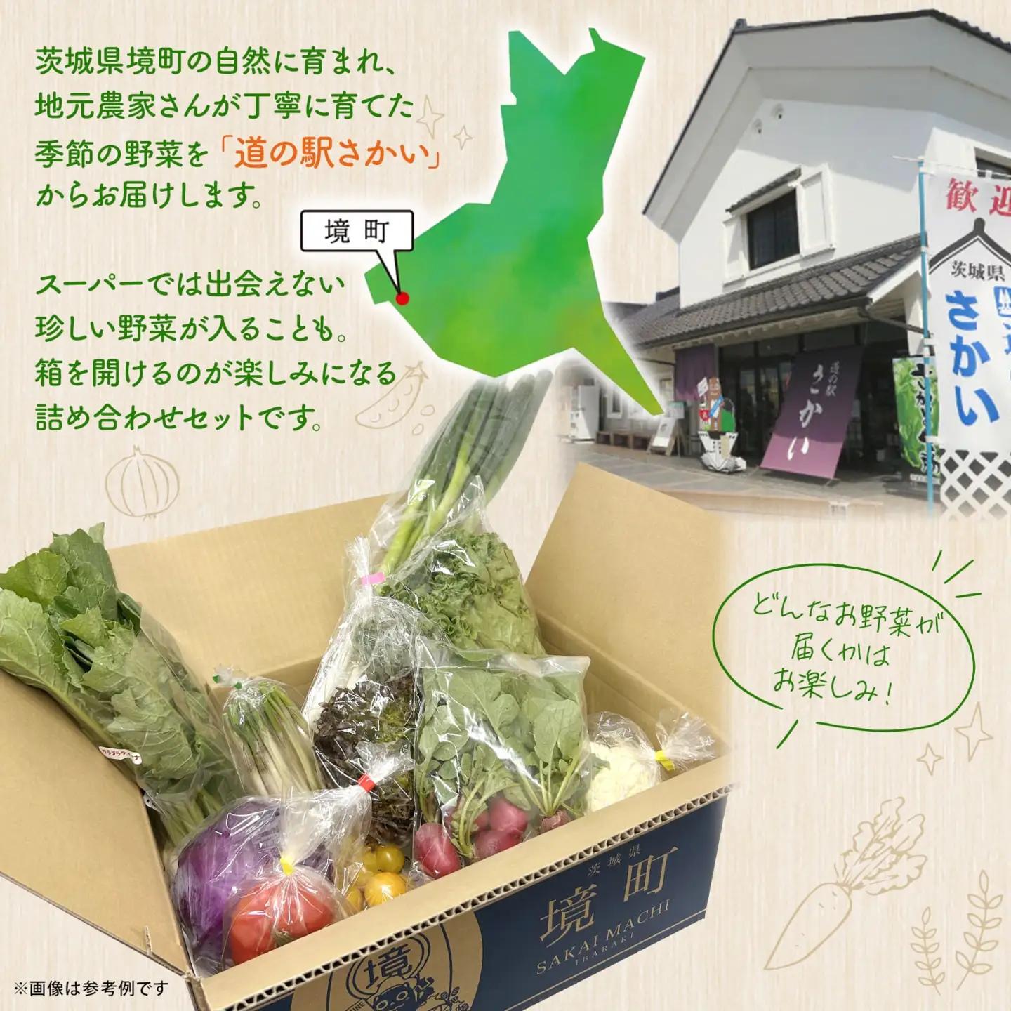 K1665 季節の野菜 「道の駅さかいオリジナル」駅長おすすめ野菜セット