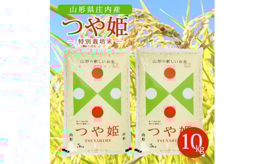 令和7年産【精米】特別栽培米 つや姫　10kg(5kg×2袋) AK SE0537