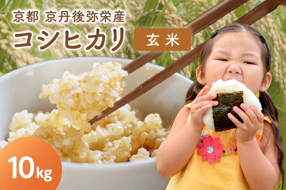【先行予約】丹後弥栄産コシヒカリ（玄米10kg） コシヒカリ 玄米 おこめ おにぎり 京都産 お米 ふるさと納税 こしひかり　NF00008