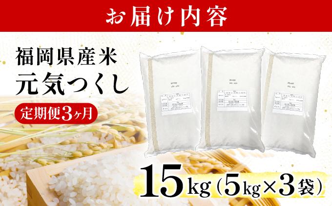 【3ヶ月定期便】福岡県産米 元気つくし 15kg 令和7年産 ※北海道・沖縄・離島は配送不可【精米 7年産 国産 福岡県産 お米 ブランド米 15kg げんきつくし】CY013sub3 【3ヶ月定期便