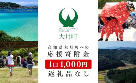 高知県大月町への応援寄付金【返礼品なし】