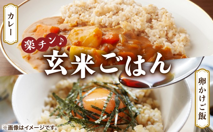 楽チン♪あやひめ玄米ごはん150g×20個