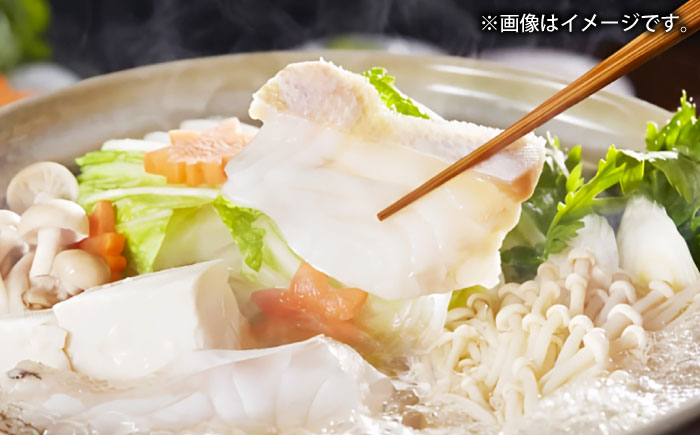 壱岐産　幻天然クエ　3枚おろし　6kg～8kg《壱岐市》 【みやげ処 縁由】 [JBJ018]