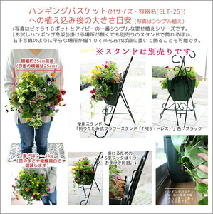 C052 宿根草 「ヒューケラ 花うるる ハンギング 寄せ植え」Mサイズ(多年草 ドルチェ カラーリーフ 寄植え ハンギングバスケット 春 夏 秋 冬 屋外 玄関 おしゃれ ギフト ガーデニング 誕生