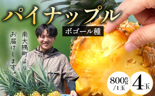 【2027年先行予約・数量限定】パイナップル/ボゴール種 (約800g×4玉)  DS-4｜鹿児島県 南大隅町