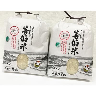ふるさと納税 七尾市 【令和7年産】等伯米コシヒカリ10kg (5kg×2袋) |  | 01