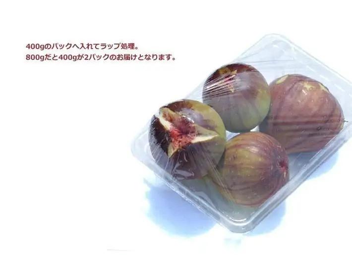 和歌山産 いちじく 秀品 約800g (400g×2パック)