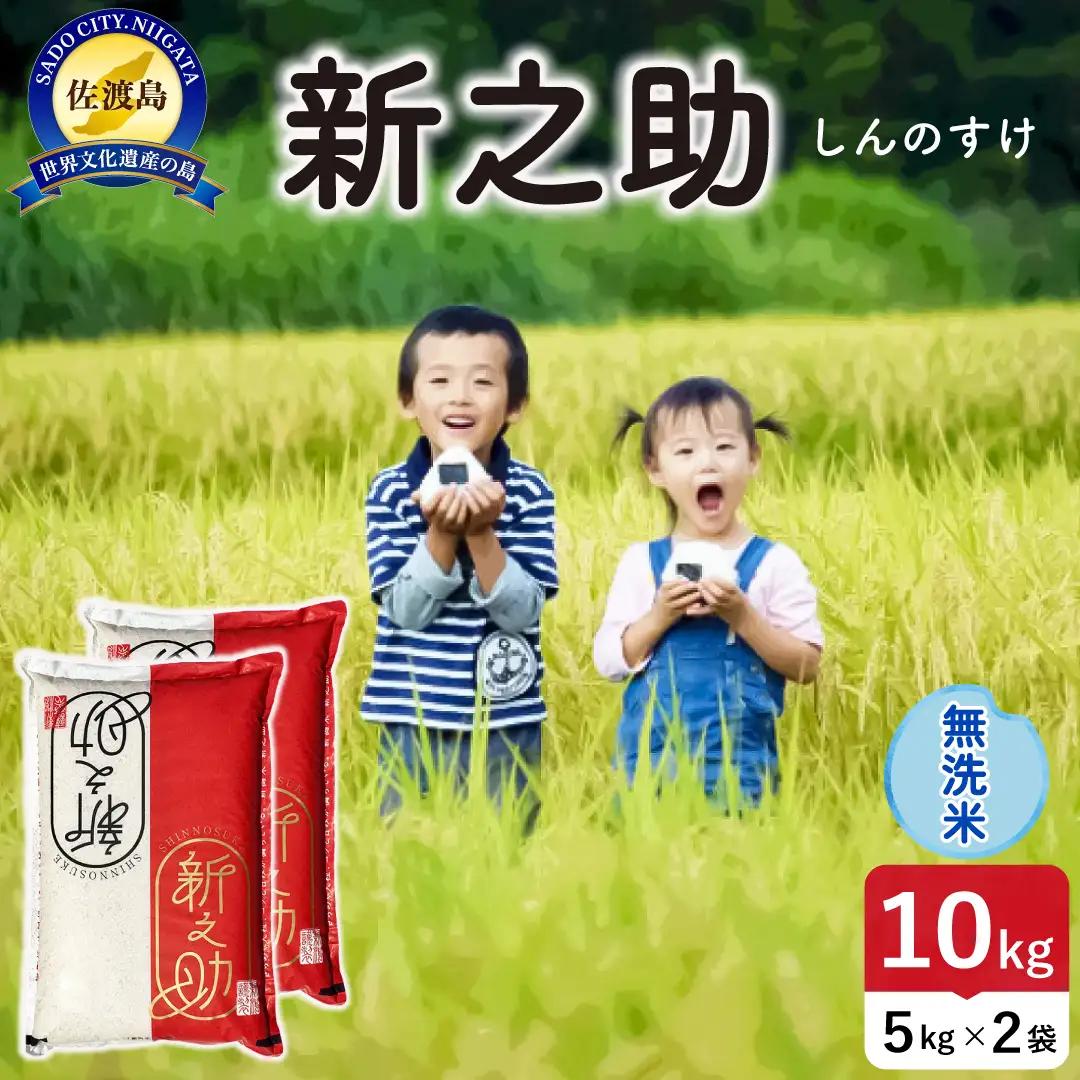 令和8年産 佐渡島産 新之助 無洗米10kg