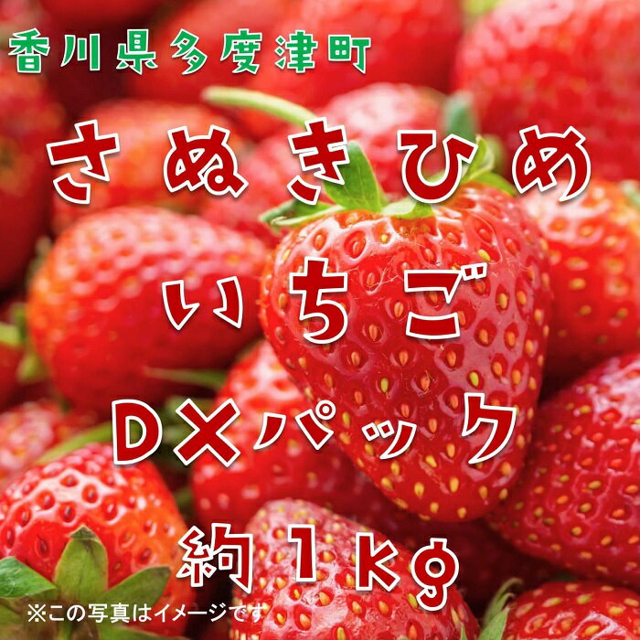 【ふるさと納税】さぬきひめいちご 約1kgDXパック【予約受付中：令和7年12月より発送】〔提供：株式会社ことひら街道〕 しあわせ製麺 いちご あまい