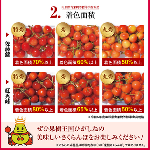 2026年 東根産さくらんぼ「紅秀峰」1kgバラ詰め(500g×2ﾊﾟｯｸ) 秀品 Lサイズ 東根農産センター提供 山形県 東根市 hi027-224 （山形県 東根市 果物 フルーツ サクランボ さ