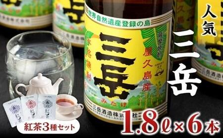 焼酎一升瓶 三岳6本+紅茶セット