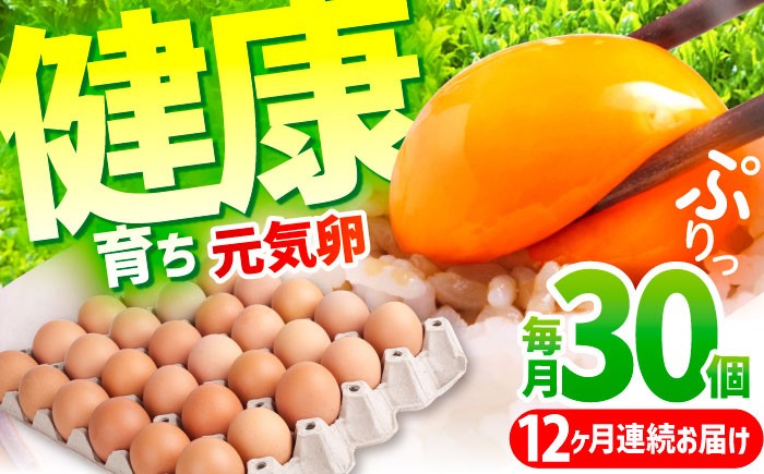 
            【12か月定期便】元気卵 360個（30個×12回）/ 12ヵ月 12カ月 12ケ月 卵 国産 たまご タマゴ 玉子 鶏卵 定期便 玉子焼き 卵焼き 新鮮 卵かけご飯 オムレツ プリン 卵 家庭用 卵黄 生卵 三重県 ふるさと納税 朝食 / 亀山市 / 藪本養鶏園 [AMBH004]
          