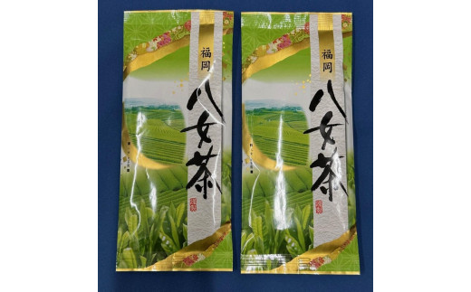 
                  【定期便全12回】八女茶　煎茶セット　100g×2袋
                