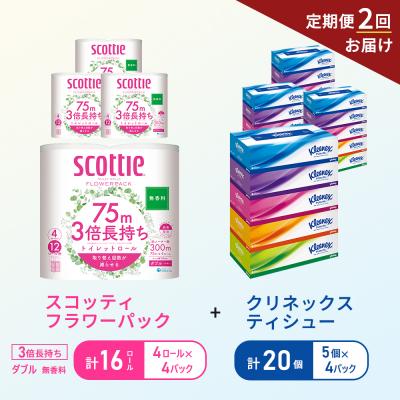 ふるさと納税 岩沼市 【6ヶ月ごと計2回お届け】ティッシュ+トイレットペーパー無香料4P[No.5704-1785]