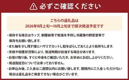 九州アルプスで育ち竹田市名水で実を付けた シャインマスカット 2房  （ 約300 ～ 約450g × 2房 ）【2026年9月上旬～10月上旬まで順次発送予定】