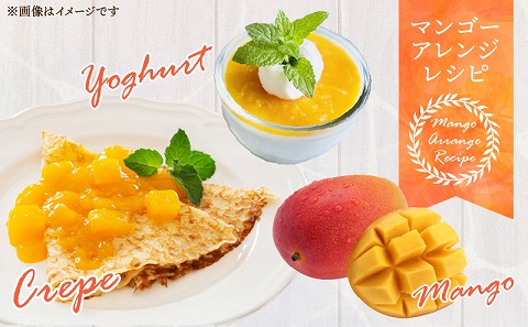 《2025年発送先行予約》【期間・数量限定】宮崎マンゴー4L×1・宮崎ライチ12玉