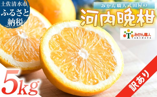 訳あり 河内晩柑 5kg サイズミックス 晩柑 かわちばんかん 文旦 柑橘 和製 グレープフルーツ 国産 みかん 果物 果実 フルーツ 特産品 有名 みかん職人武田屋 おいしい ビタミン 傷あり 家庭用 減農薬【R01616】