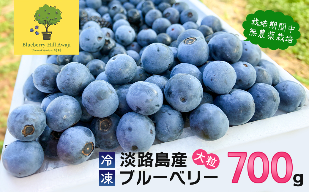 【淡路島産】大粒ブルーベリー 700g 冷凍生果《栽培期間中、無農薬栽培》　ブルーベリー