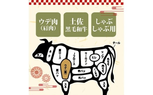 【定期6回】土佐黒毛和牛ウデ肉しゃぶしゃぶ用 計4.8kg【800g×6ヶ月連続お届け】 3Aコース