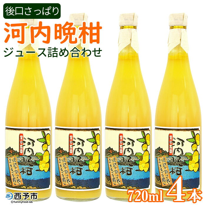 【ふるさと納税】＜黒田農園 河内晩柑ジュース詰め合わせ4本セット＞ 720ml×4本 果物 柑橘 みかん ミカン フルーツ 飲んで応援 特産品 西宇和 愛媛県 西予市 【常温】『1か月以内に順次出荷予定』