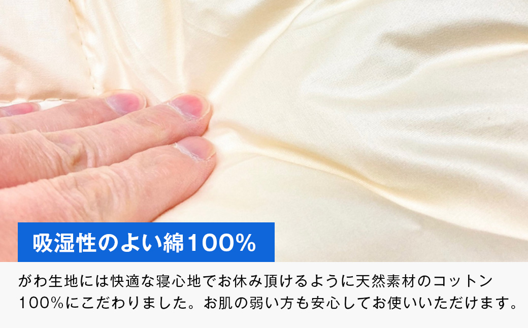 清潔掛ふとん 洗えるインビスタ ダクロン 肌掛布団 日本製 SL ふわもち1507