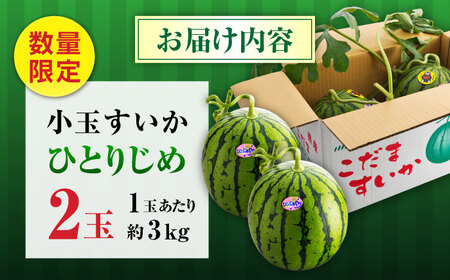 【先行予約】【数量限定】小玉すいか 2玉入（1玉 約3kg） 　【一般社団法人クラッシーノこうし】[AYAB056]