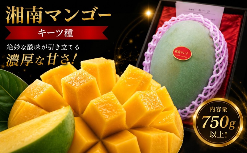 
                  湘南マンゴー キーツ種 750g 湘南 先行予約 マンゴー トロピカル フルーツ 果物 果肉 南国 デザート 甘み 濃厚 香り コク 滑らか 風味 旬 グルメ 上品 完熟 希少 珍しい 美味しい ジューシー 季節 限定 数量限定 人気 国産 夏 贈り物 ギフト おすすめ 常温 臼井園芸 神奈川県 平塚市
                