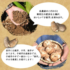 令和7年産 伝統野菜 里芋「子姫芋」3kg（500g×6袋）土付 山形県産 2025年産【2025年10月下旬頃～2026年1月頃配送予定】 012-B-BK004