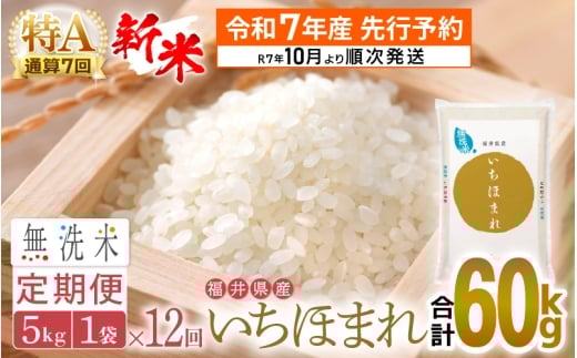 【新米・先行予約】令和7年産 無洗米 定期便 12回 いちほまれ 5kg × 12回（計60kg）特A 通算7回！福井県産【お米 コメ kome 12ヶ月連続 計60キロ 精米 白米 便利 時短】【令和7年10月より順次発送予定】 [e27-o008]