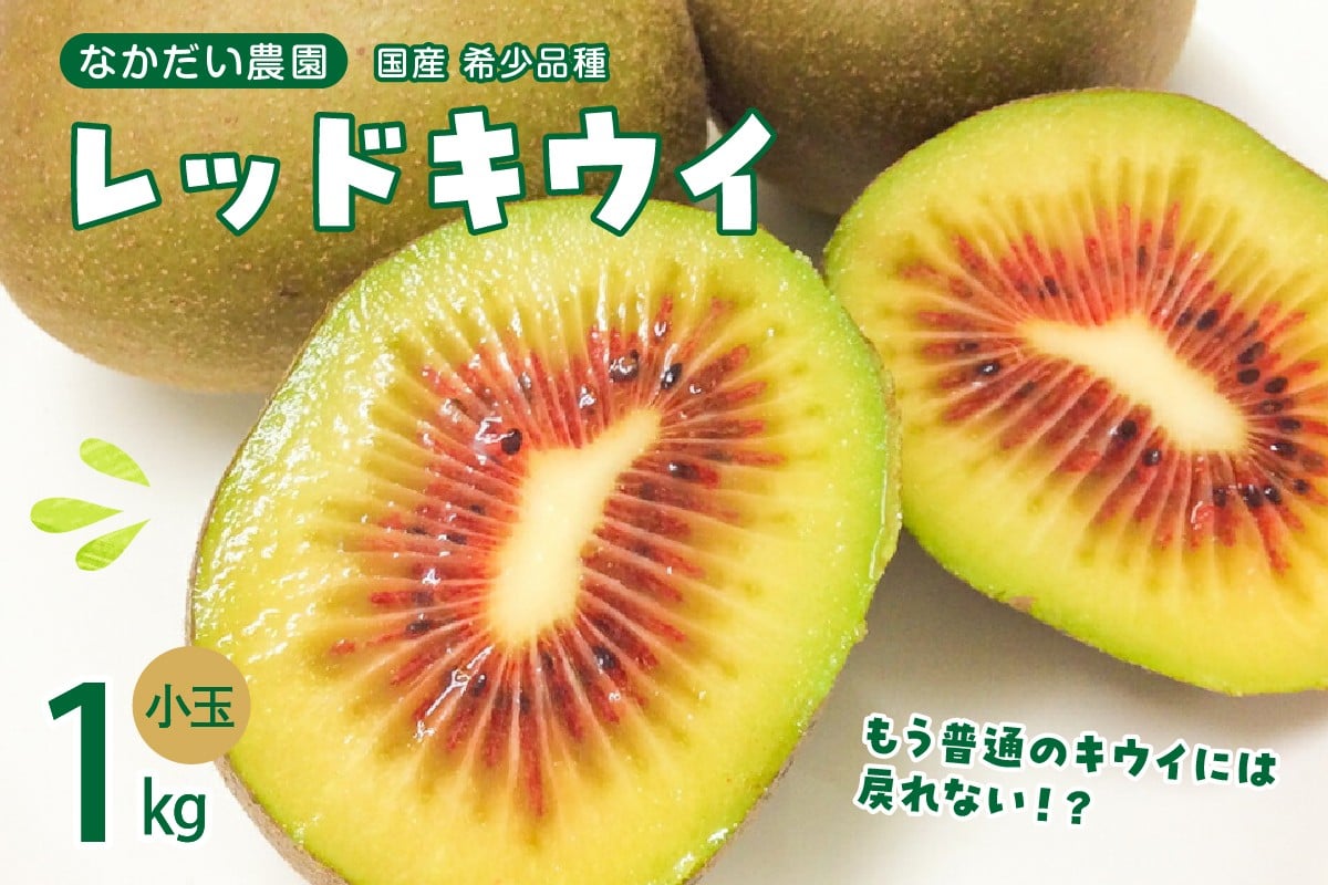 
            【2025年9月下旬～発送】【小玉】希少品種「 レッドキウイ 」国産 約1kg ku033-006-25
          