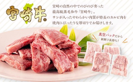 《2025年4月発送》宮崎牛 カルビ(バラ) 焼肉 250g×4パック 合計1kg 宮崎牛 カルビ 焼肉