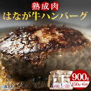 【ふるさと納税】＜熟成肉 はなが牛ハンバーグ 150g×6個 計900g＞ お肉 牛肉 ビーフ 牛100％ 肉加工品 無添加 お惣菜 洋食 おかず おつまみ お弁当 ランチ ディナー 国産 小分け 個包装 簡単調理 特産品 ゆうぼく 愛媛県 西予市 【冷凍】『1か月以内に順次出荷予定』