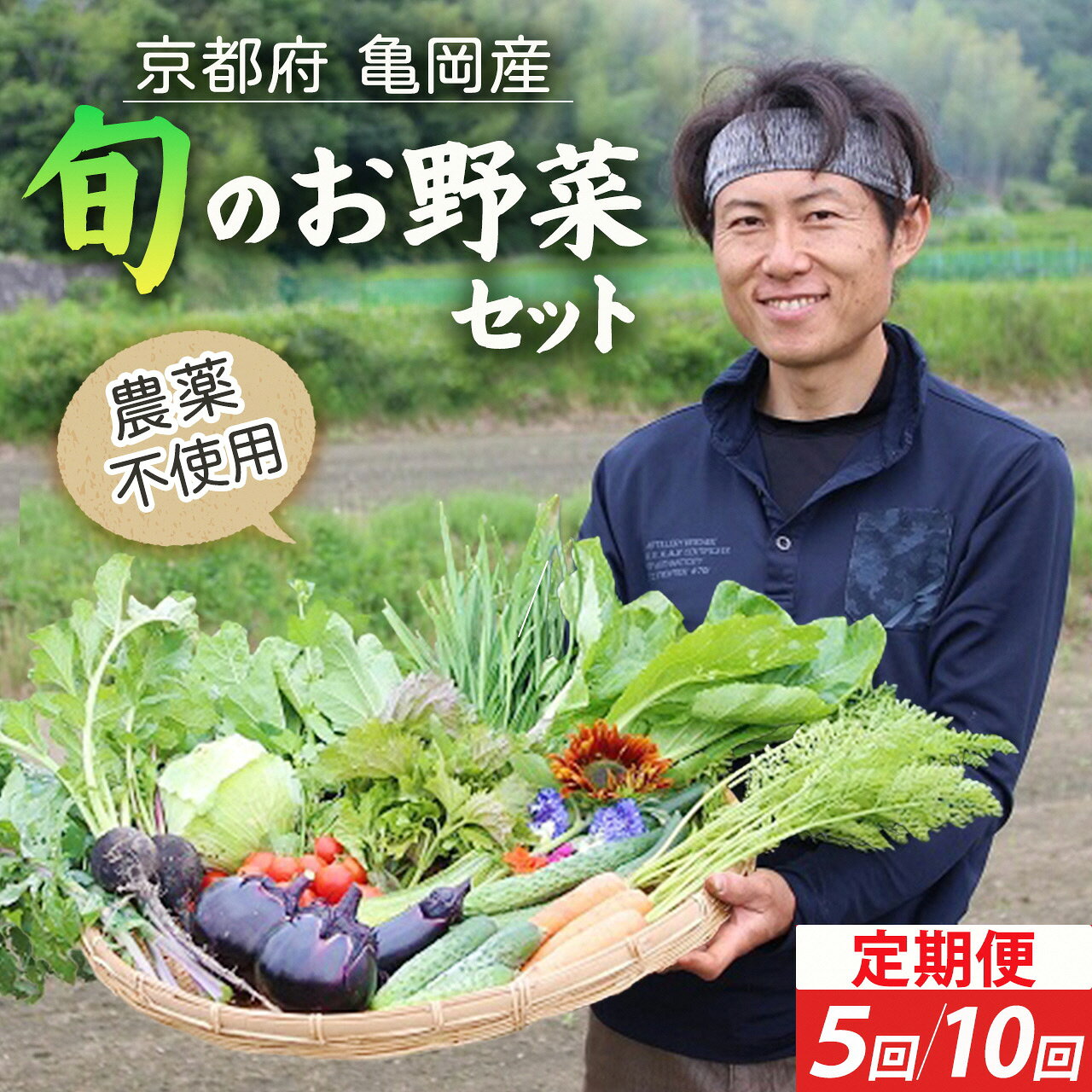 【ふるさと納税】＼選べる回数／【5回・10回定期便】京都府・亀岡産 自然農法＆農薬を使わずに育てた体も心も喜ぶ、かたもとオーガニックファームの季節のお野菜セット 毎回10～20品目