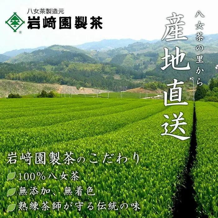 八女茶100％ ヒモ付き 上級煎茶 ティーバッグ （5g×18ヶ入 3袋）＜岩崎園製茶＞　075-021