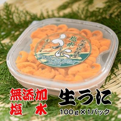 ふるさと納税 根室市 エゾバフンウニ塩水パック100g×1P[10月下旬以降発送] B-65019
