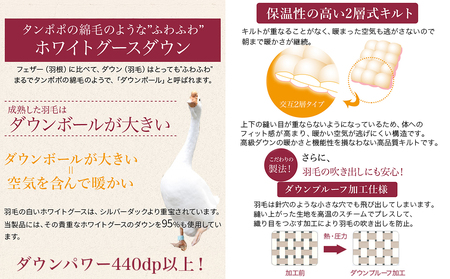 【アイボリー】二層キルト羽毛掛布団95%プレミアムゴールドラベル1.2kg SL_AK-J203-iv_(都城市) 綿100％ 80サテン 光沢 しなやかさ 柔らかさ 心地よい ホワイトグースダウン 