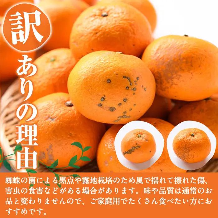 ＜先行予約受付中！2027年1月中旬以降順次発送予定＞訳あり紅甘夏(約20kg) 国産 鹿児島県 阿久根市 果実 果物 フルーツ 柑橘 紅甘夏 みかん ミカン 期間限定 数量限定【桐野柑橘株式会社】a