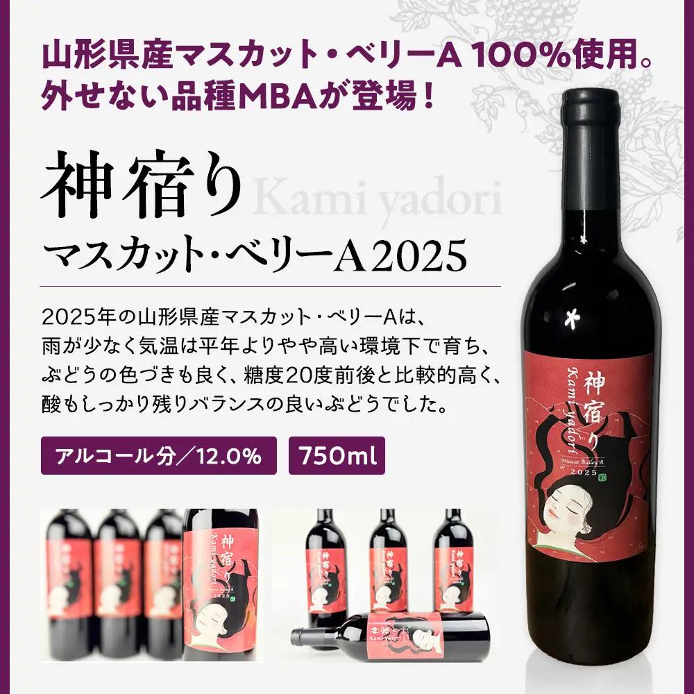 紀乃國わいん工房 神宿り マスカット・ベリーA 2025 750ml