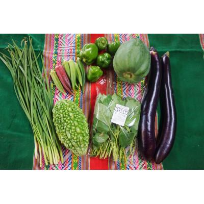 ふるさと納税 下妻市 【毎月定期便】農園自慢の情熱野菜セット7品(種類おまかせ)全2回 |  | 01