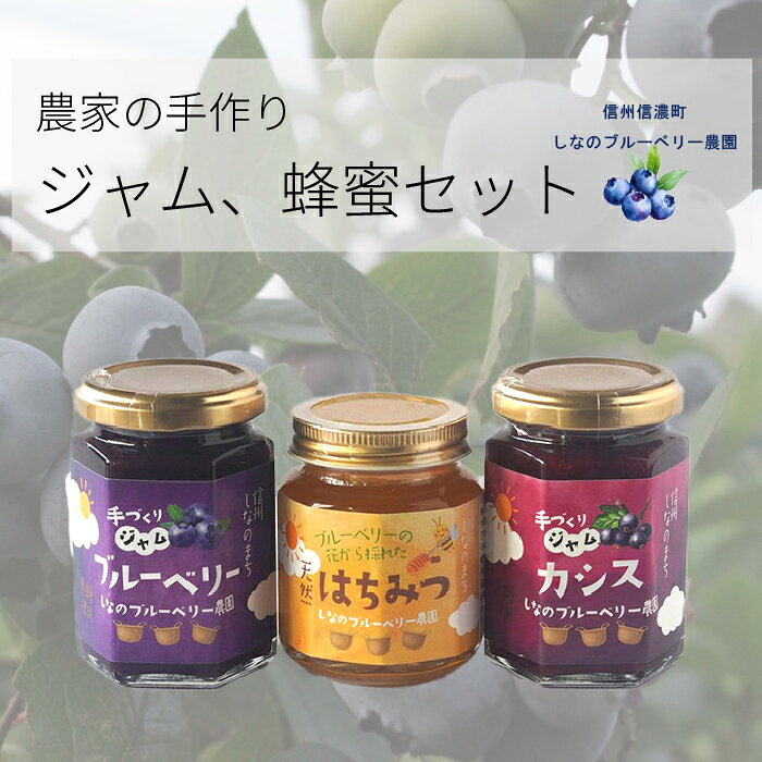 【ふるさと納税】しなのブルーベリー農園「信濃町産ジャム詰め合わせ」 ブルーベリージャム150g、カシスジャム150g、ブルーベリーの花の非加熱はちみつ160gの3個セット《7-14日以内に出荷予定(土日祝除く)》【長野県信濃町】