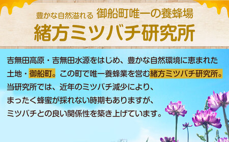 熊本県御船町産 純粋はちみつ600g御船町観光協会《30日以内に出荷予定(土日祝除く)》