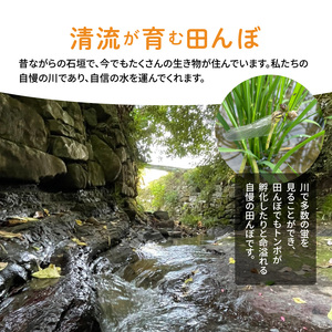 S108-003A_〈令和6年産〉熊本県天草産　天草の大地の恵み　新米コシヒカリ6㎏【先行予約】