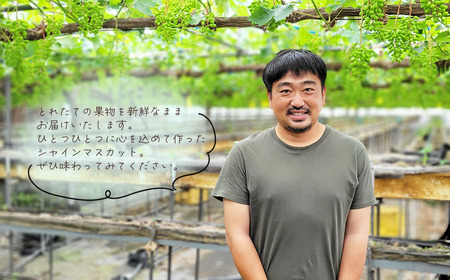 ゆきもと農園 ＜特選＞ シャインマスカット プレミアム ２房セット　2025年8月中旬～9月発送