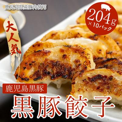 ふるさと納税 鹿屋市 黒豚餃子10パック(1446)