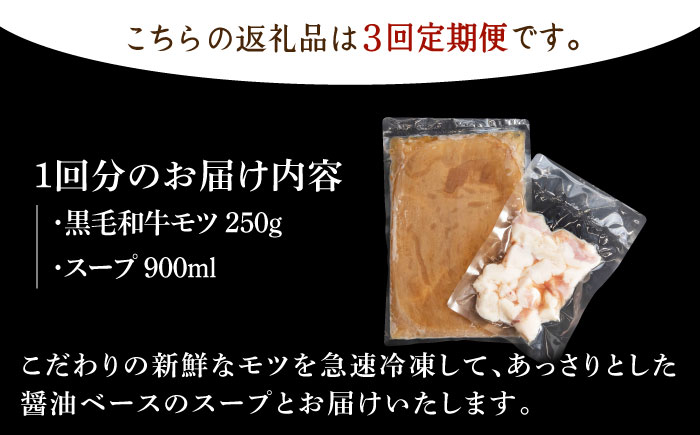 【全3回定期便】佐賀県産黒毛和牛 もつ鍋セット 2～3人前【山下牛舎】 [HAD140]